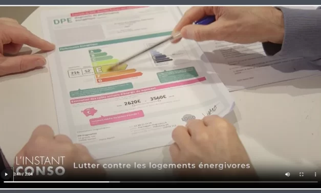 Instant conso – La location des logements énergivores mieux encadrée avec la Clcv 35 (2024)