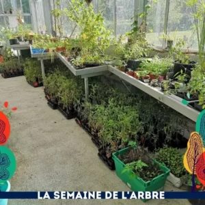 Troc plantes mce