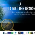 La nuit des dragons avec Bretagne vivante !