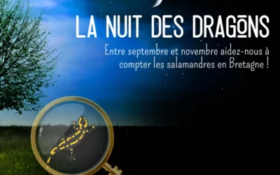 La nuit des dragons avec Bretagne vivante !