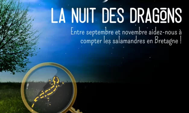 La nuit des dragons avec Bretagne vivante !