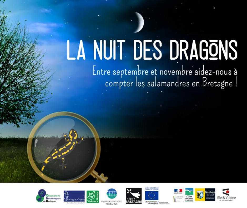 la nuit des dragons 2024